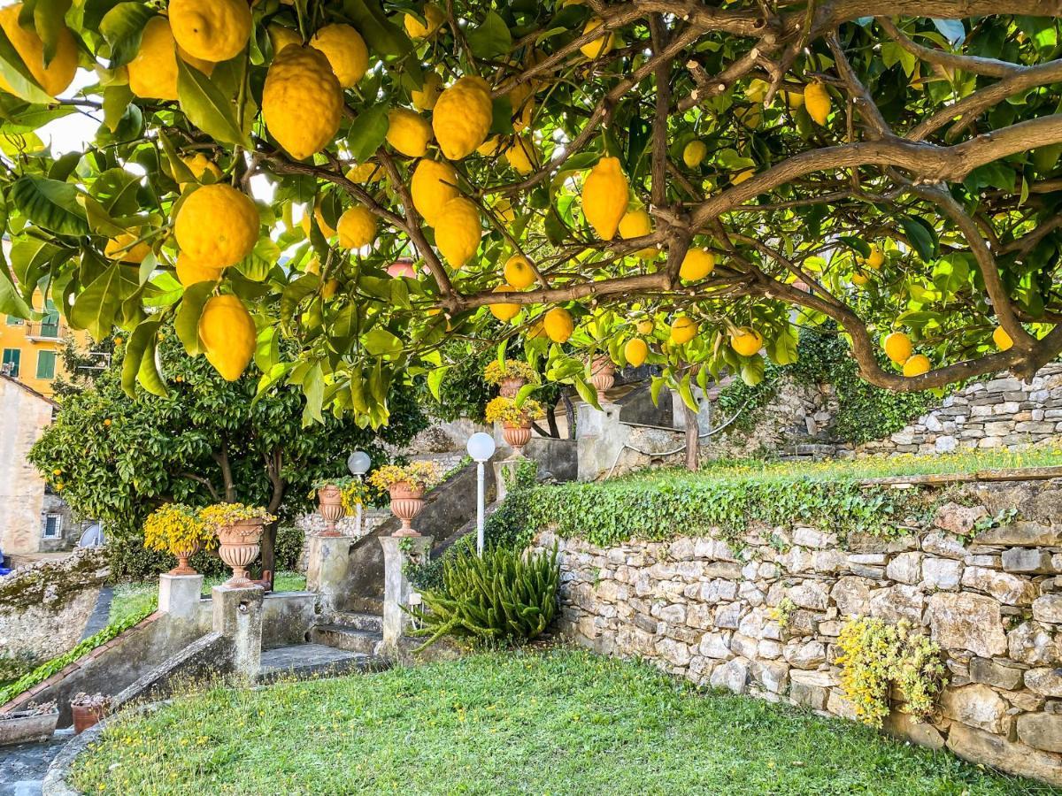 A~Mare Casa Vacanze Fezzano  Eksteriør bilde